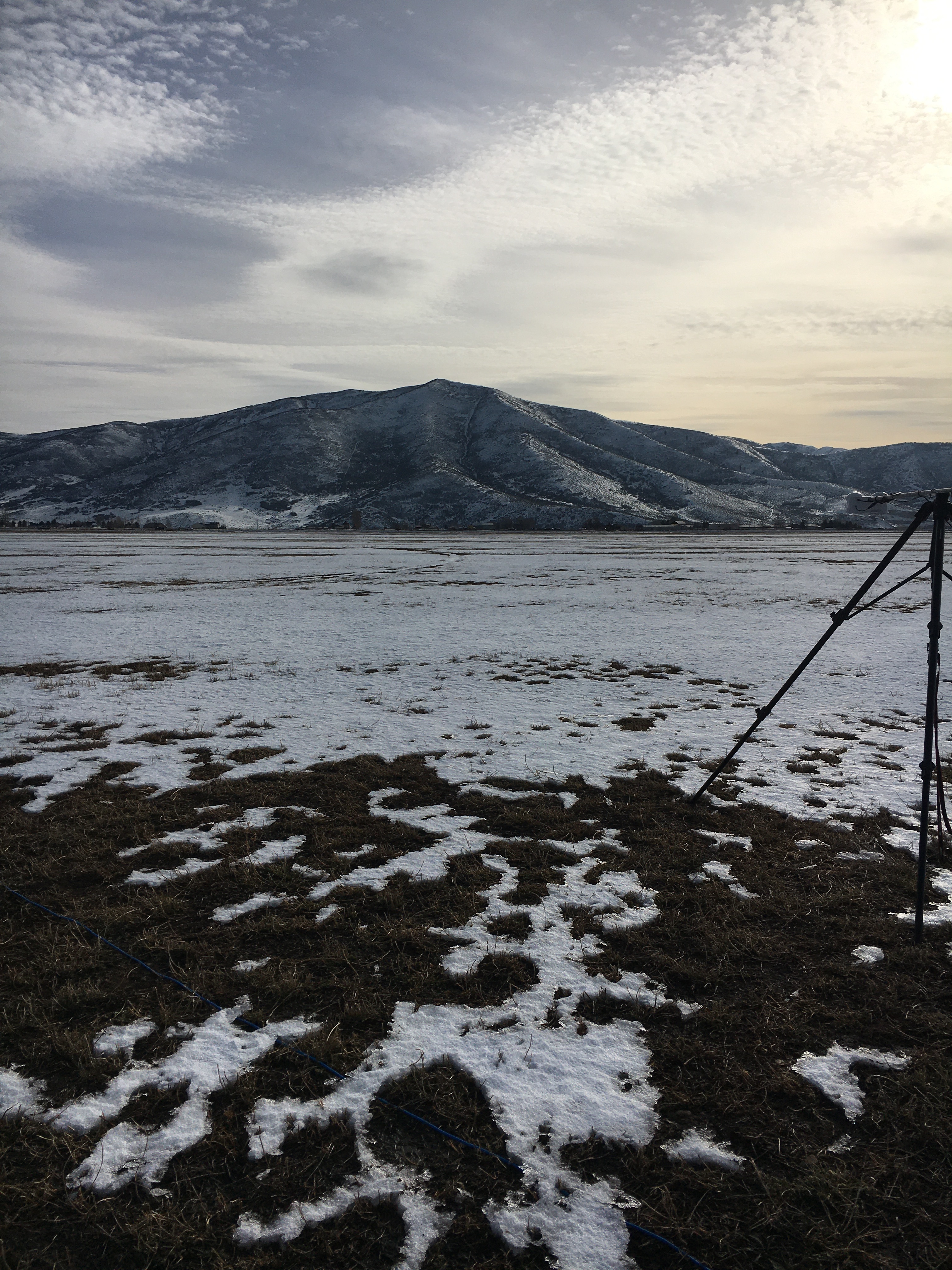 CFACT Field Project - ISFS Wiki > SP (South Pivot) > IMG_5973.JPG
