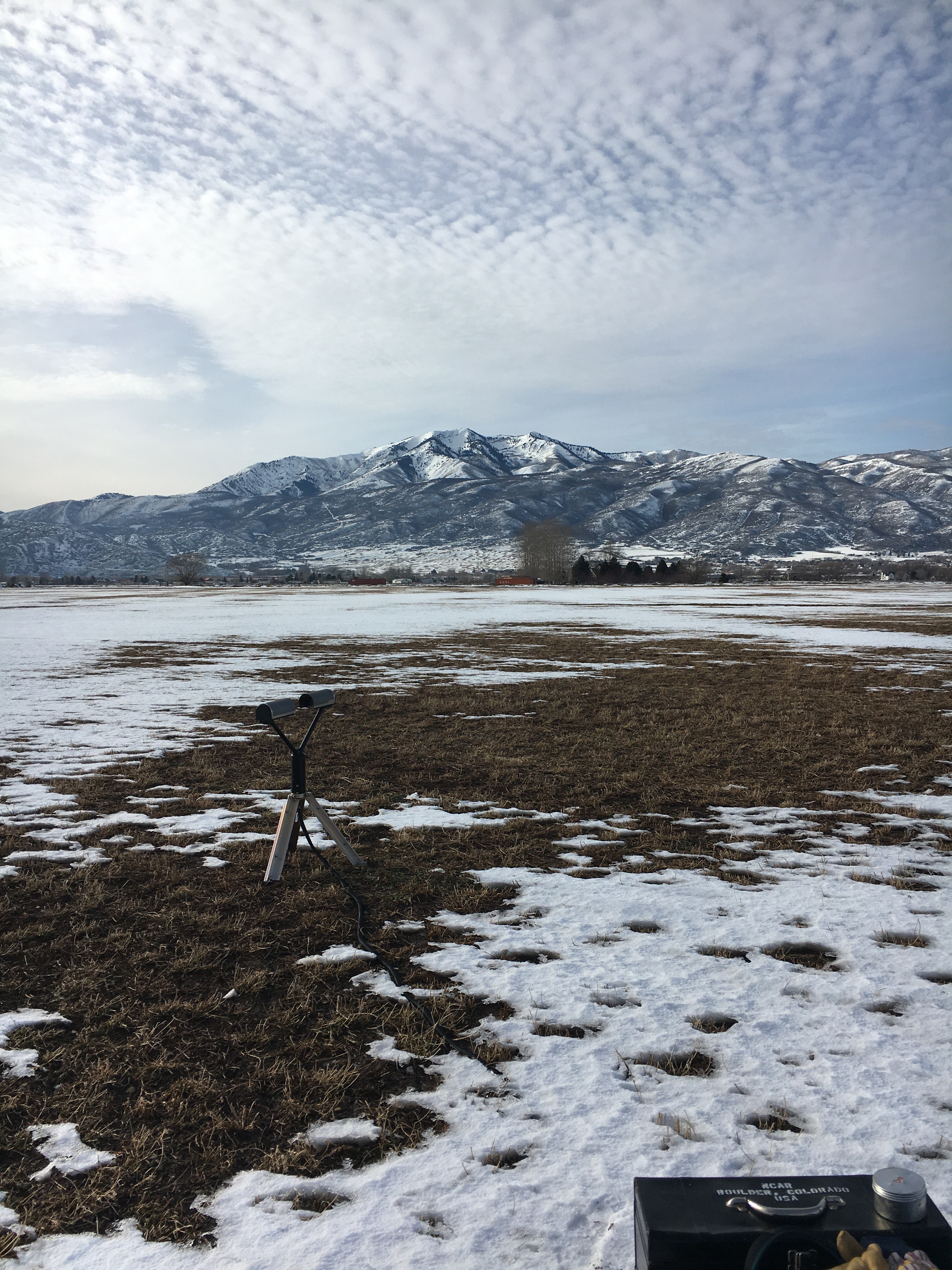 CFACT Field Project - ISFS Wiki > SP (South Pivot) > IMG_5976.JPG
