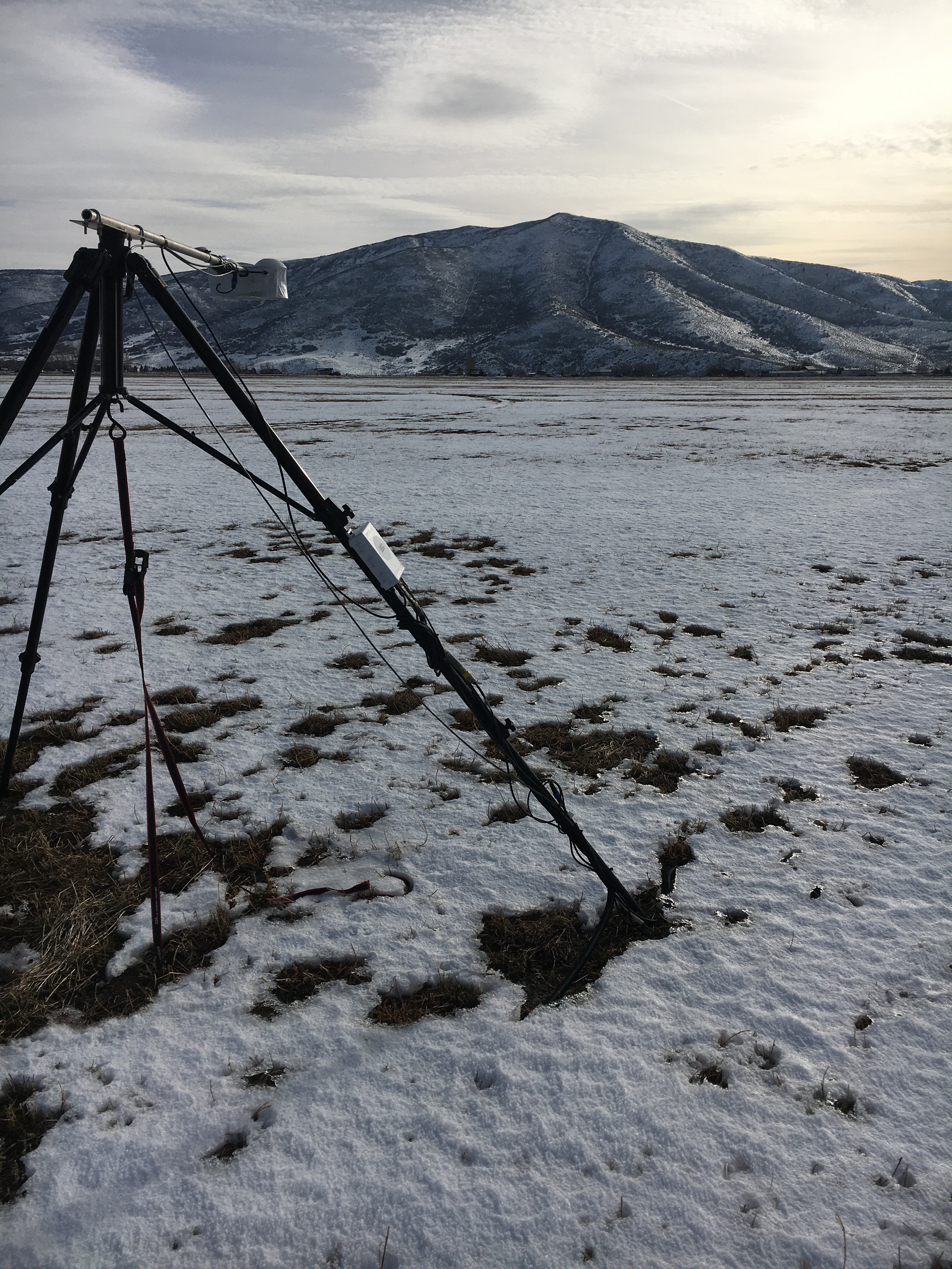 CFACT Field Project - ISFS Wiki > SP (South Pivot) > IMG_5978.JPG