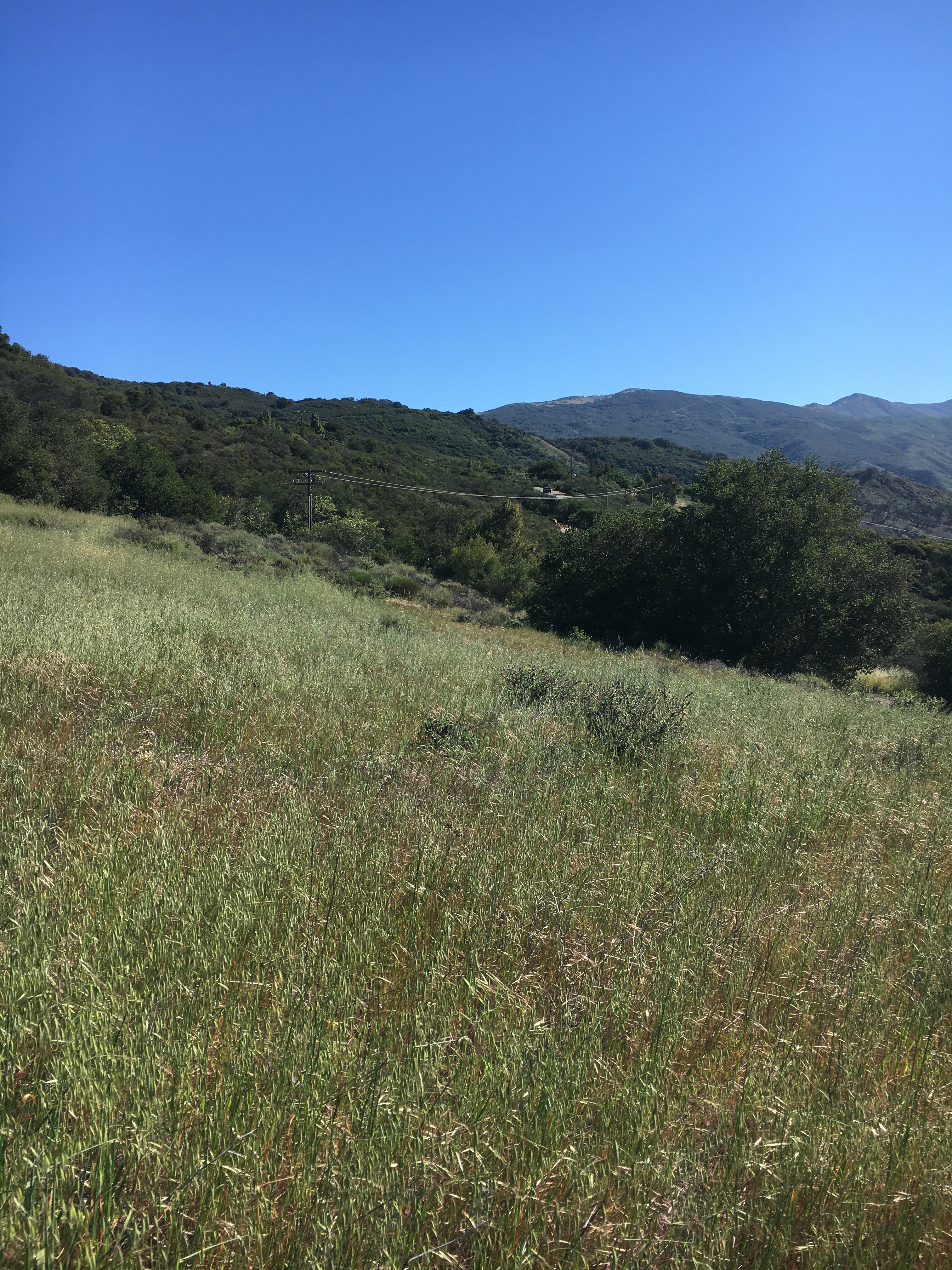 SWEX Field Project - EOL/ISFS > Tower 6 - Hazard Ranch > IMG_6526.JPG