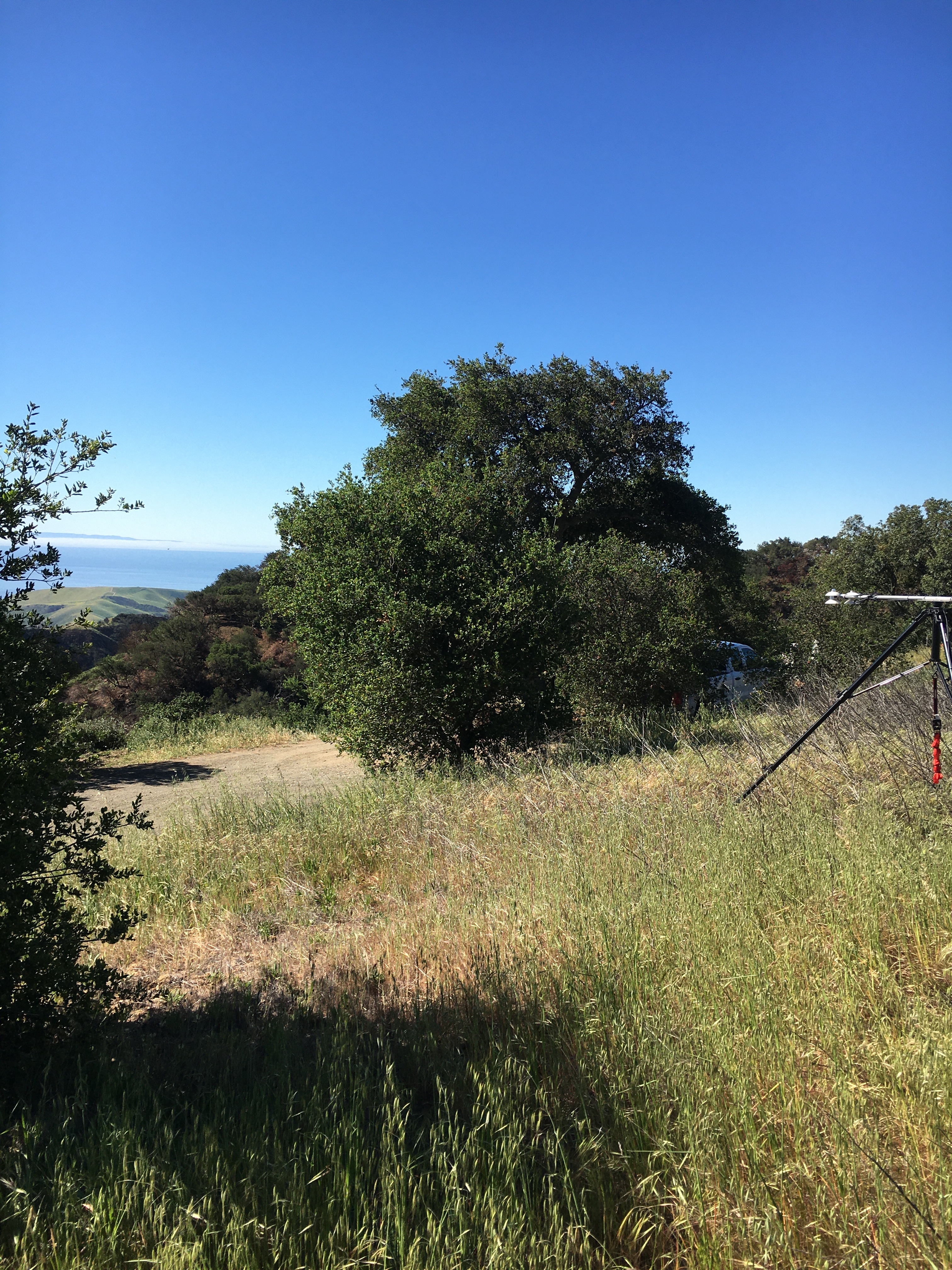 SWEX Field Project - EOL/ISFS > Tower 6 - Hazard Ranch > IMG_6529.JPG