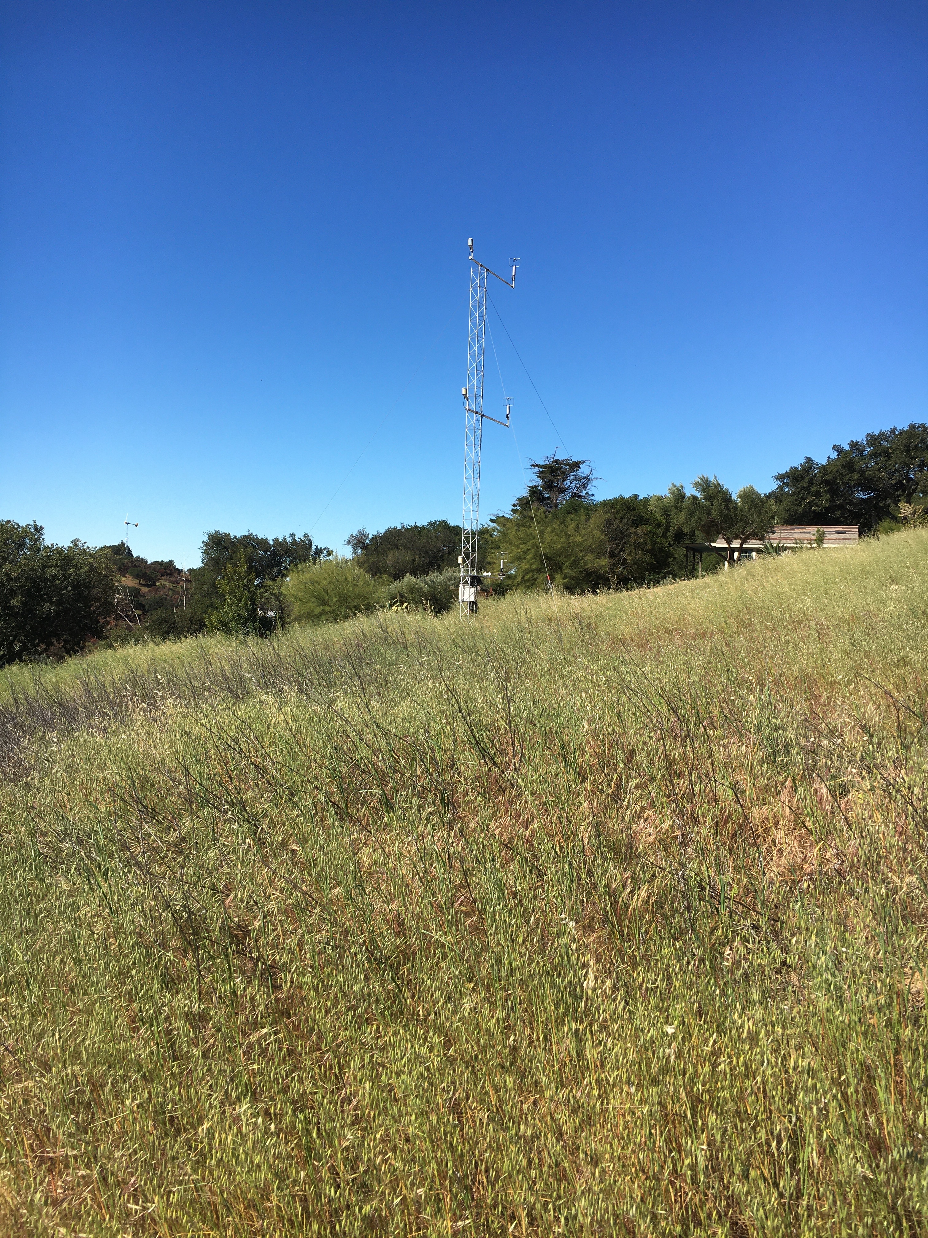 SWEX Field Project - EOL/ISFS > Tower 6 - Hazard Ranch > IMG_6530.JPG