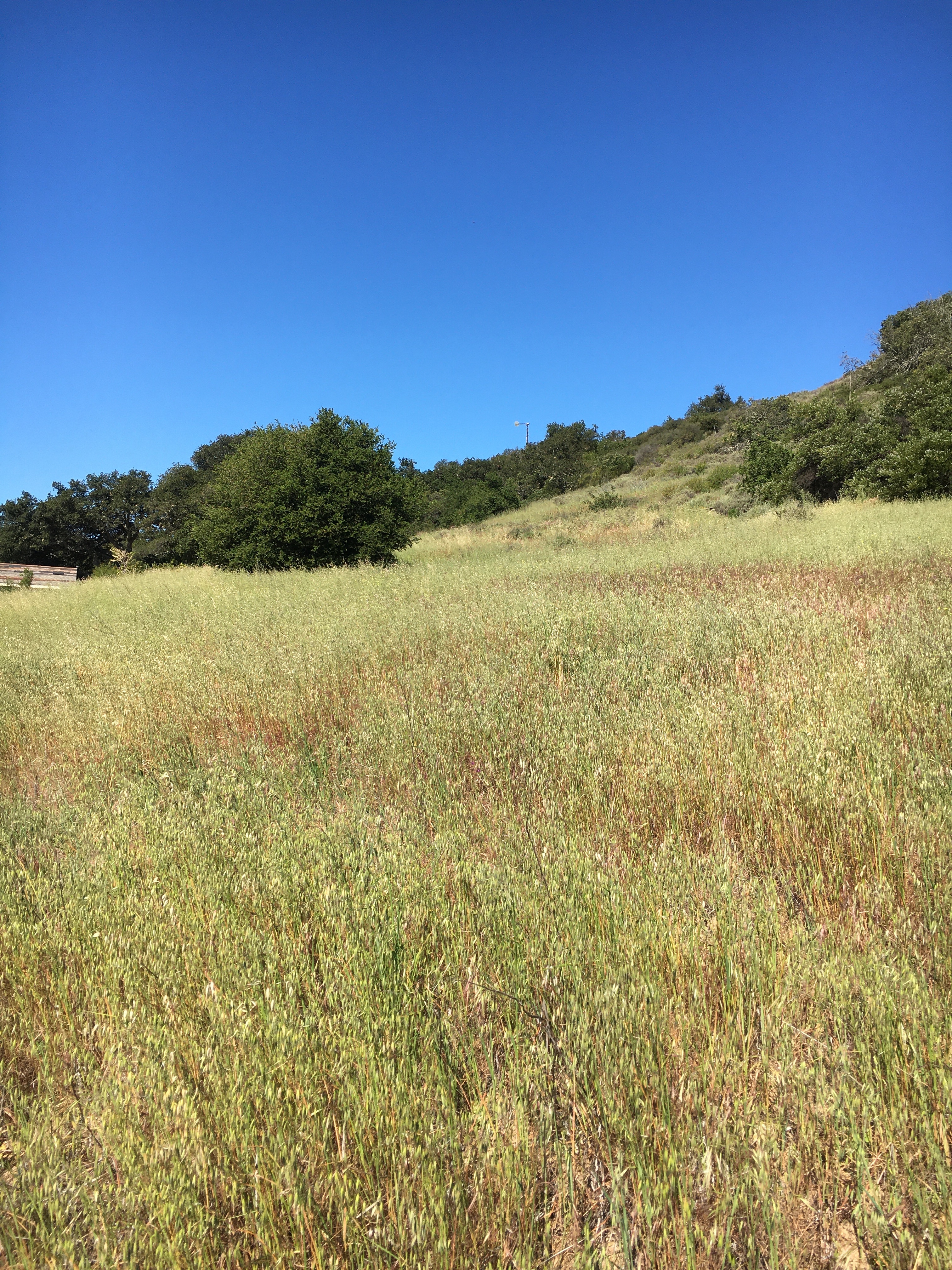 SWEX Field Project - EOL/ISFS > Tower 6 - Hazard Ranch > IMG_6531.JPG