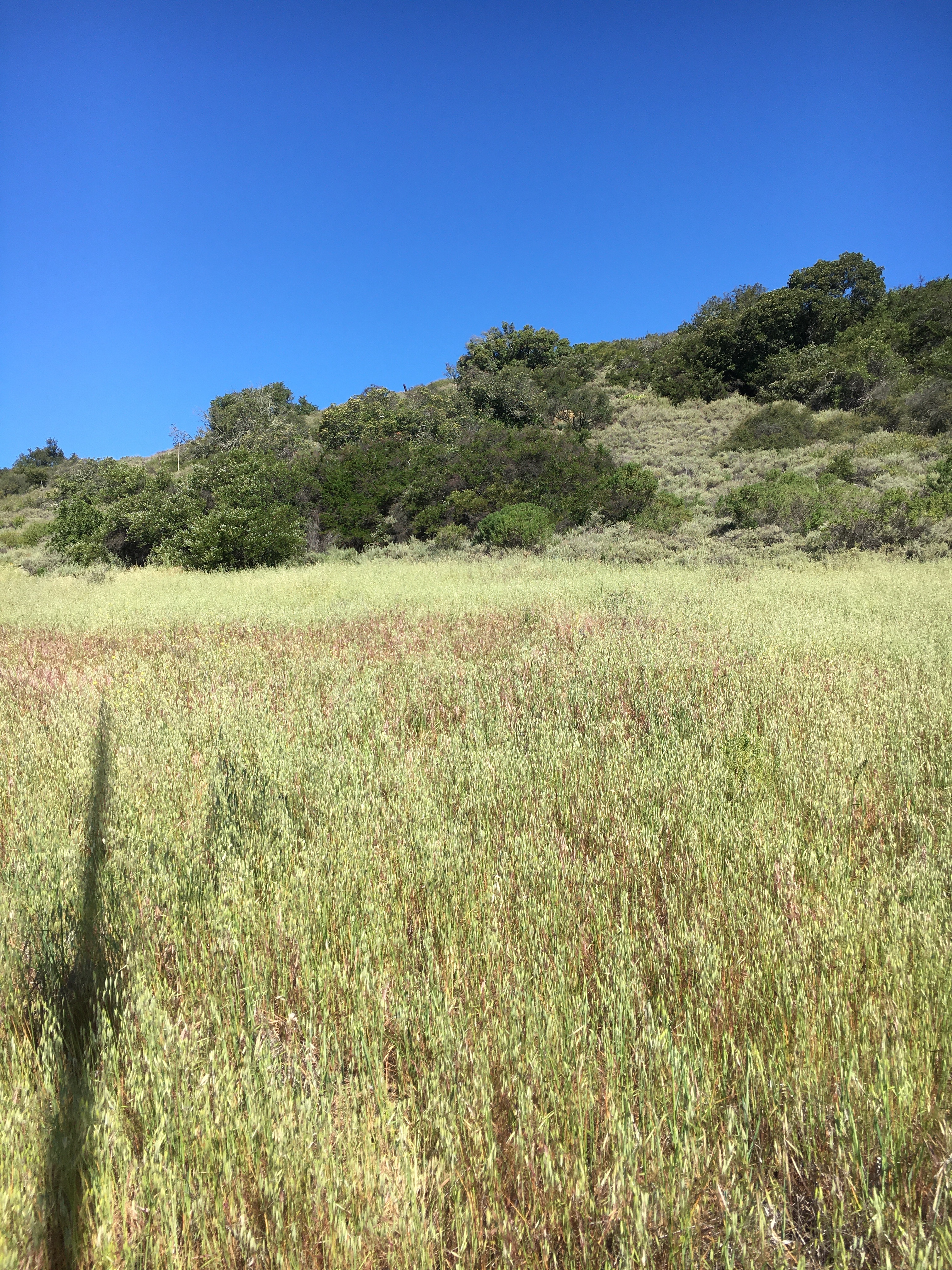 SWEX Field Project - EOL/ISFS > Tower 6 - Hazard Ranch > IMG_6532.JPG