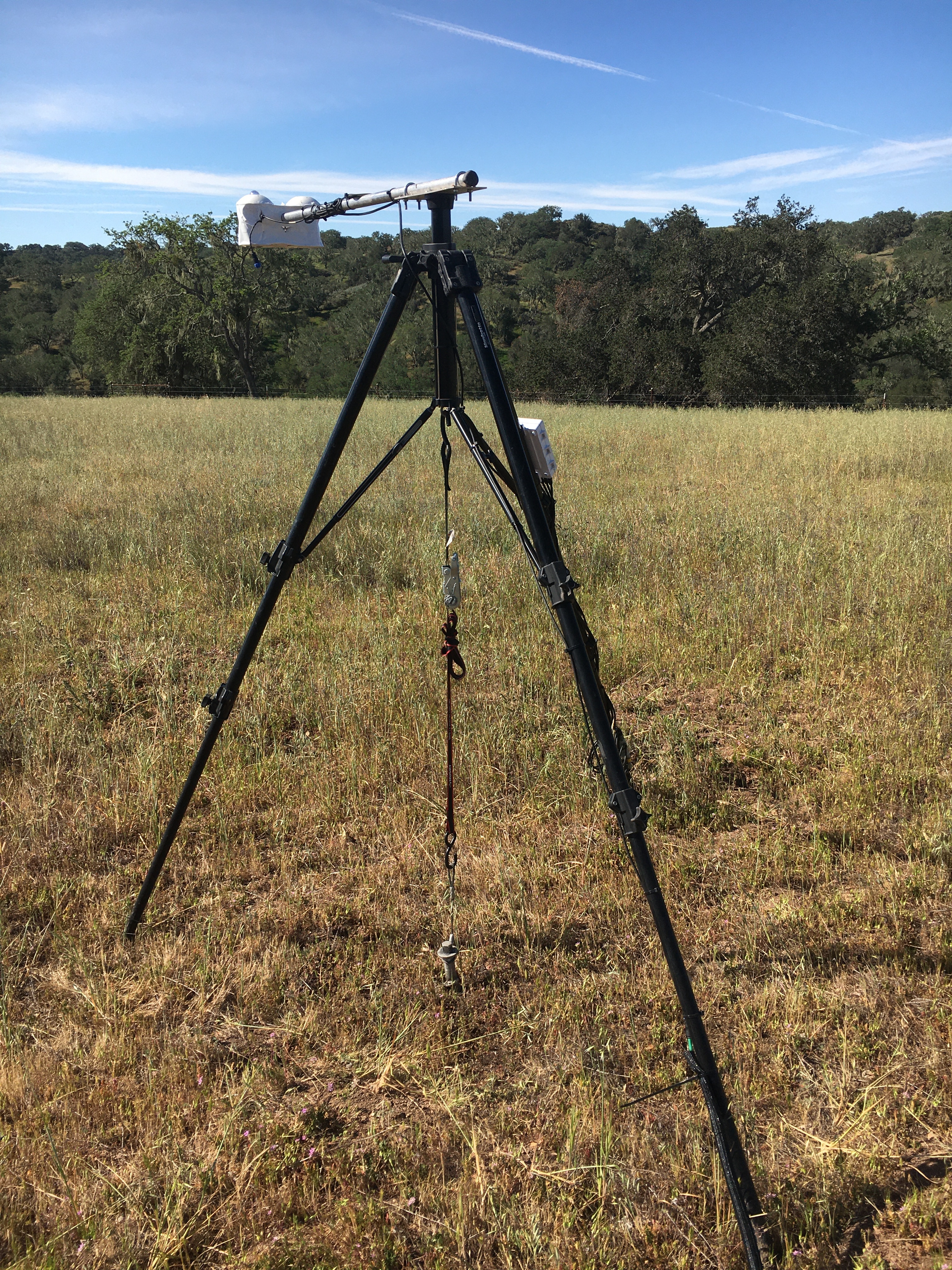 SWEX Field Project - EOL/ISFS > Tower 14 - Sedgwick Reserve > IMG_6705.JPG