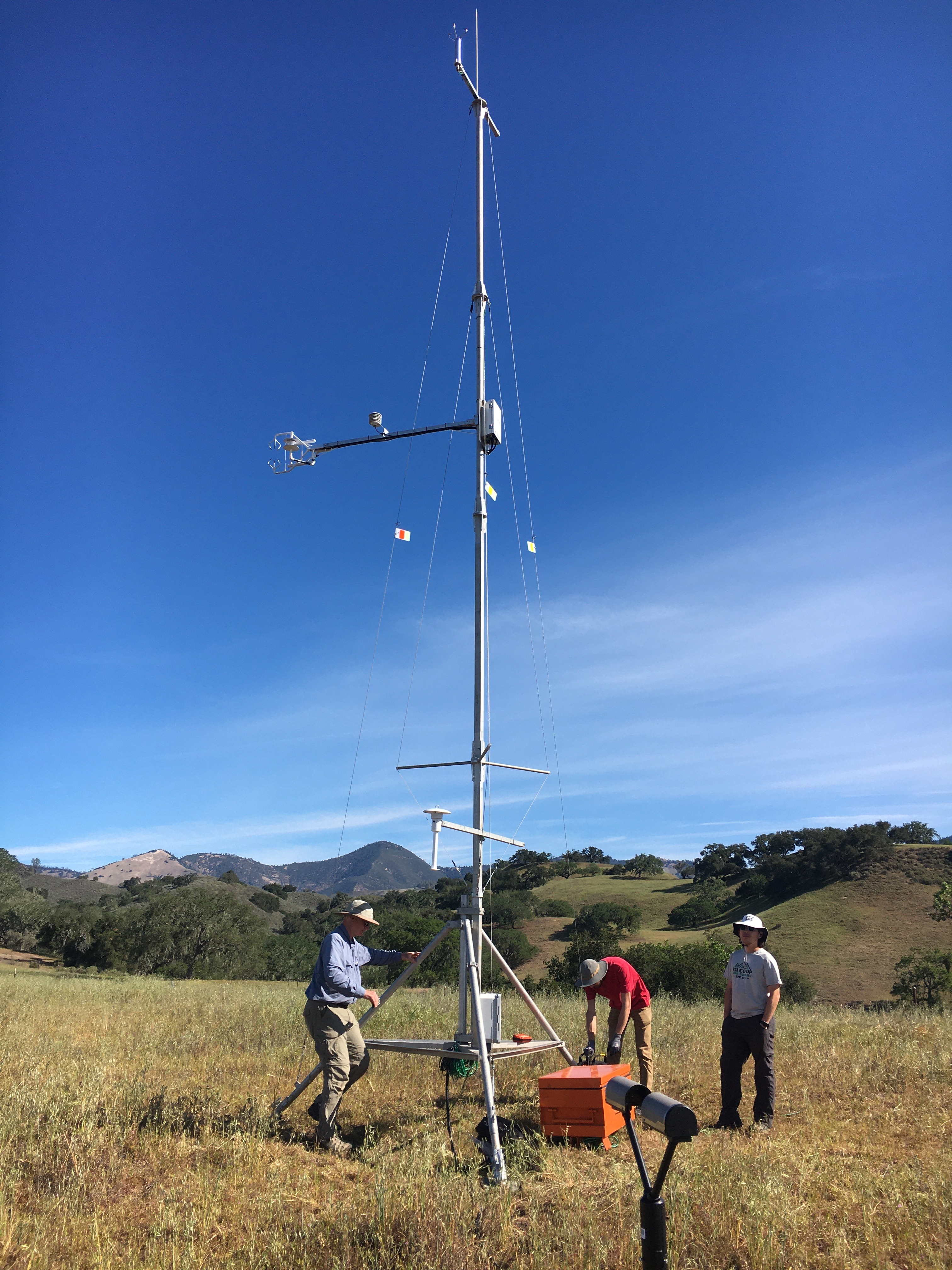 SWEX Field Project - EOL/ISFS > Tower 14 - Sedgwick Reserve > IMG_6706.JPG