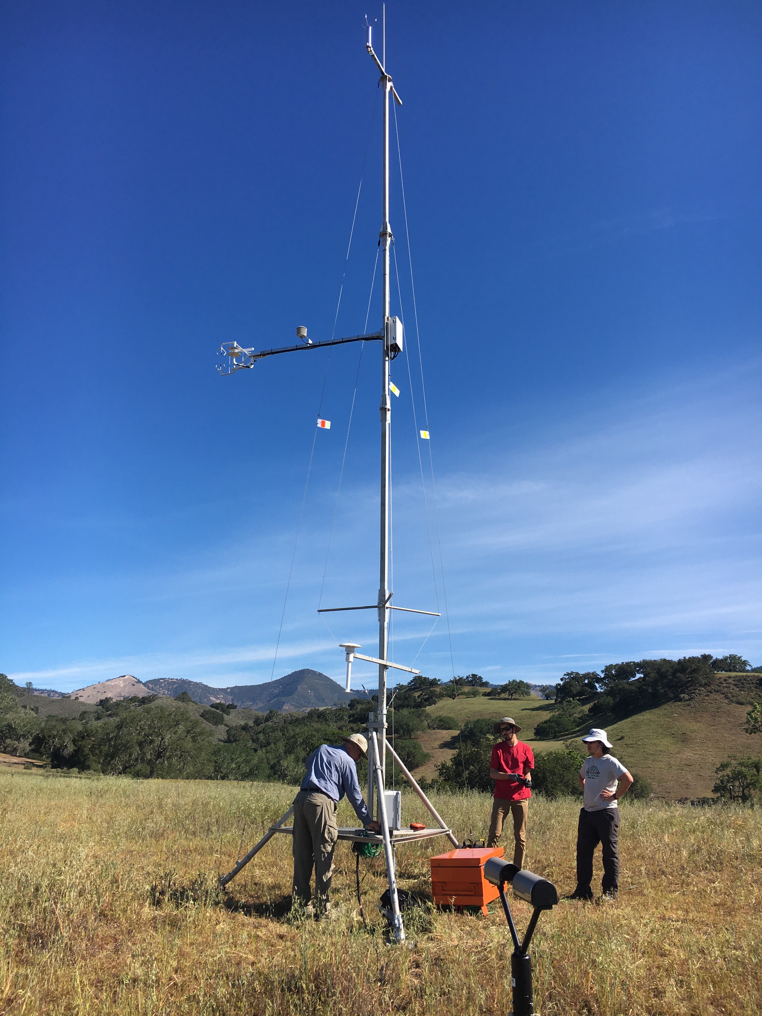 SWEX Field Project - EOL/ISFS > Tower 14 - Sedgwick Reserve > IMG_6707.JPG