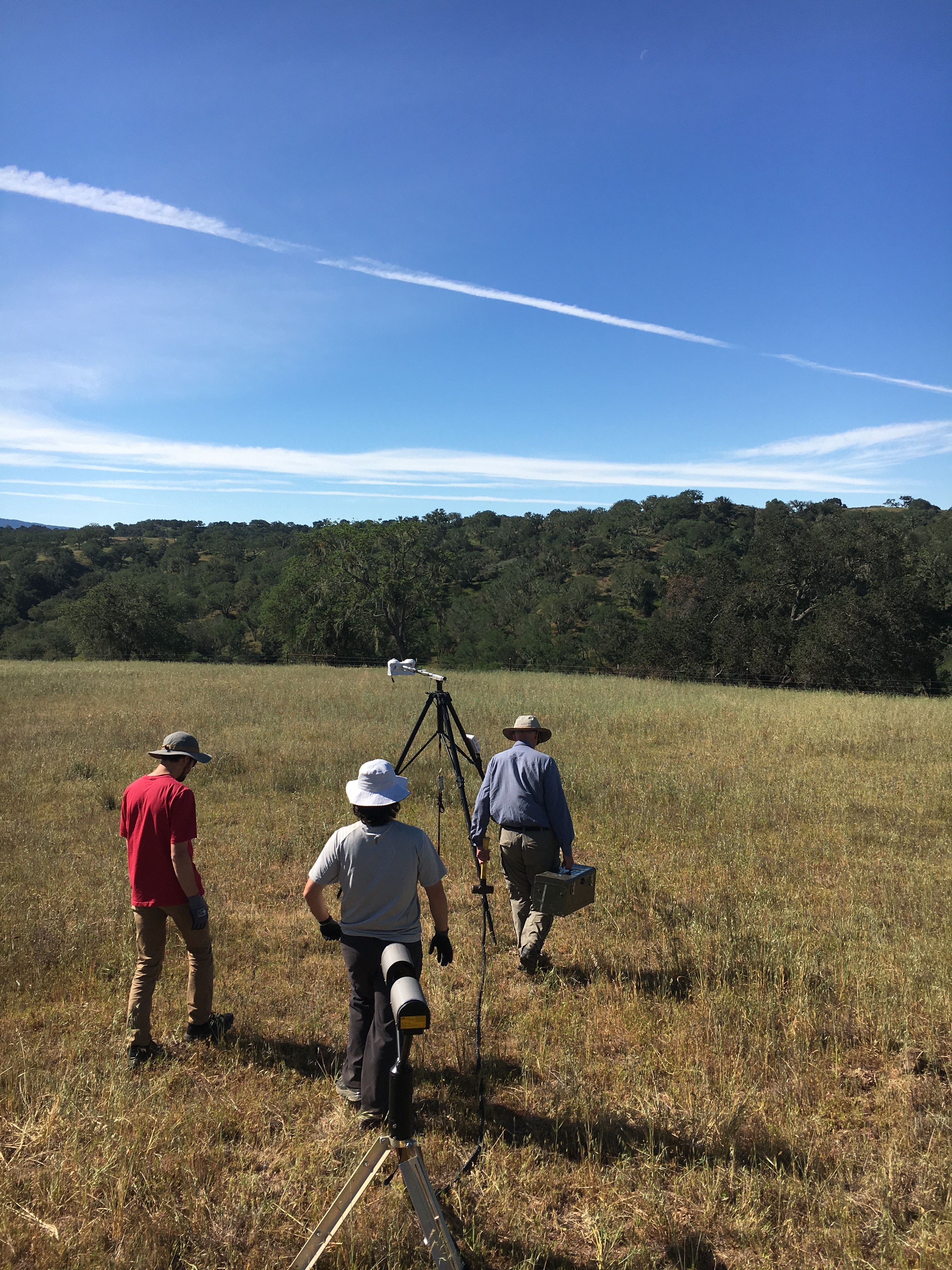 SWEX Field Project - EOL/ISFS > Tower 14 - Sedgwick Reserve > IMG_6712.JPG