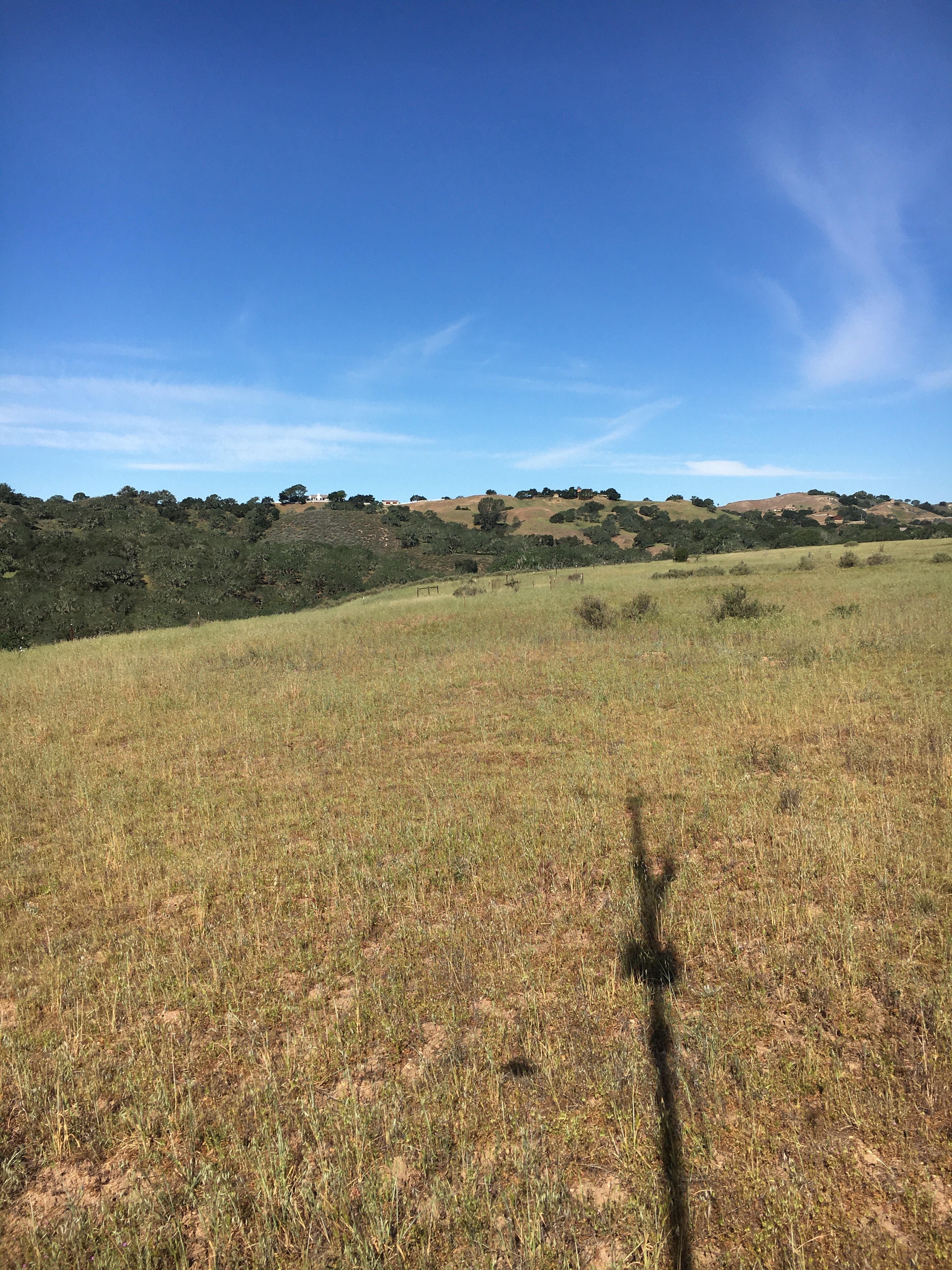 SWEX Field Project - EOL/ISFS > Tower 14 - Sedgwick Reserve > IMG_6714.JPG